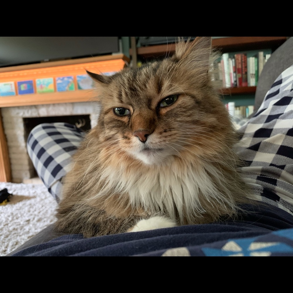 Meet your Posher, Vera